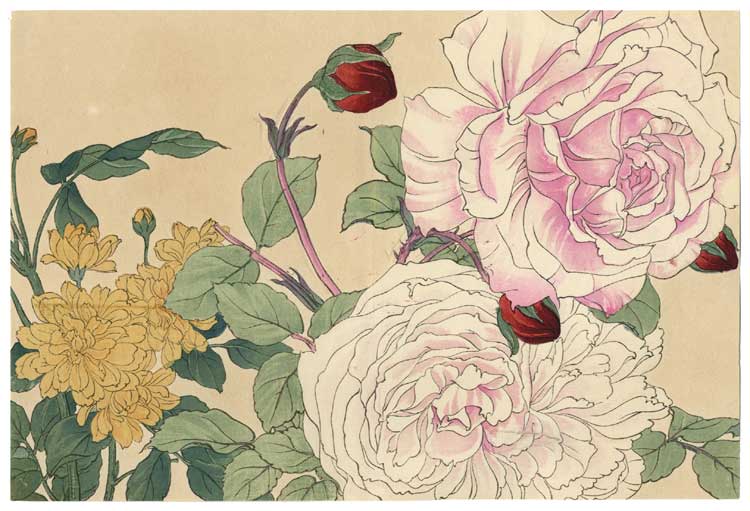 The One Hundred Flower Series Japanese Woodblock print is K no Bairei 